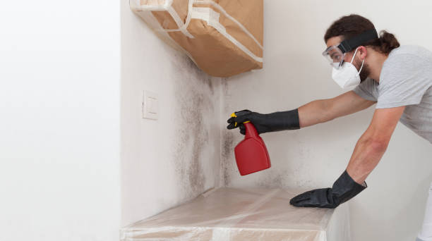Professional Mold Cleanup technician working in Fairfield, NJ