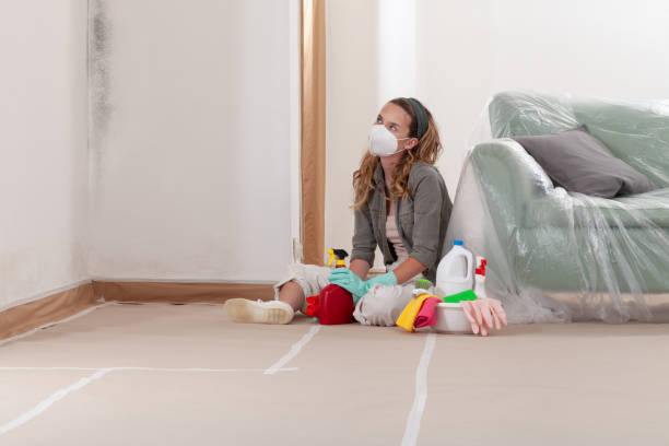 Reliable Mold Cleanup contractor in Fairfield, NJ by Cheap Mold Removal